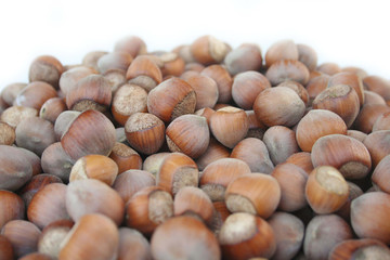 nocciole intere isolate su sfondo bianco