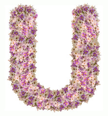 Letter U alphabet with zinnia flower ABC concept type as logo. Typography design