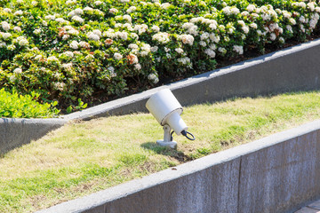 Lamp on the Grass
