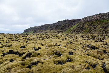 Moss Covered Lava Landscape in Heidmork  Iceland
