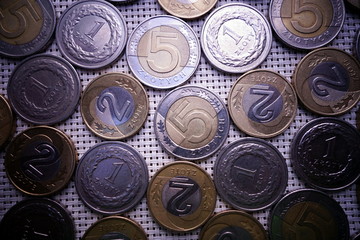 Polish zloty currency. Various coins.