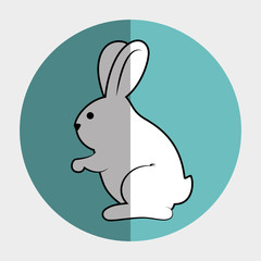 cute rabbit shape animal. bunny cartoon over colorful circle. vector illustration