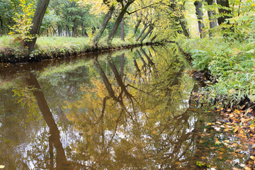 autumn creek in September