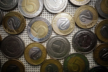 Various polish coins. Currency of Poland.
