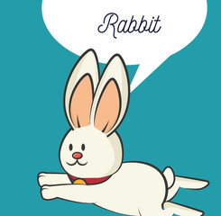 cute rabbit animal. bunny cartoon. colorful design. vector illustration