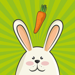 cute rabbit animal with orange carrots vegetable. colorful design. vector illustration