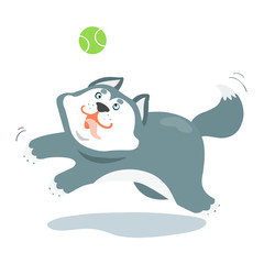 Funny siberian husky dog and a ball vector