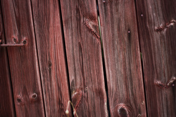 Wooden door in a scandinavian red