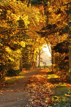 Herbst