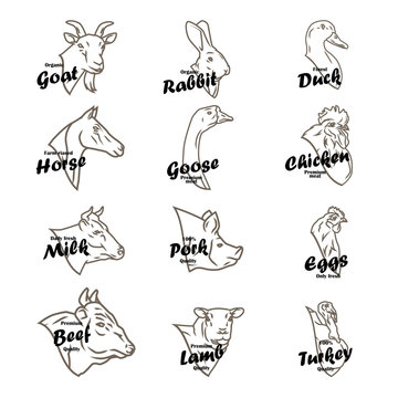 Farm animal heads vector collection. Butchery logo and labels set