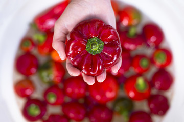 pepper. female hand holding a red pepper