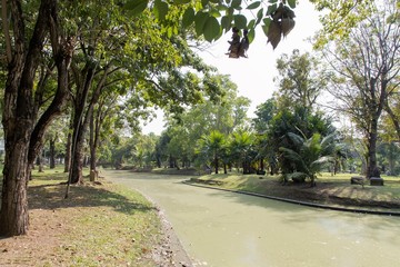 Garden landscape.,Phra Nakhon Park Lat Krabang
