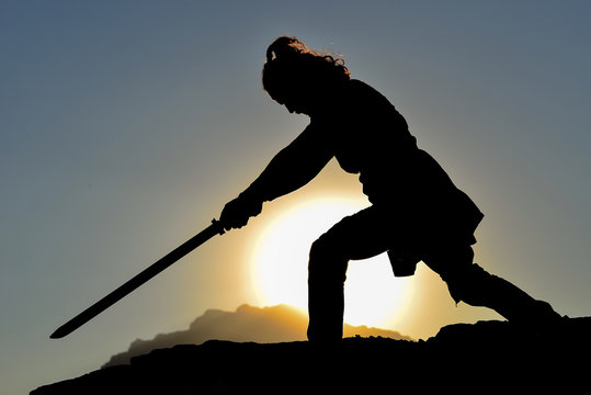 samuray d&ouml;v&uuml;ş&ccedil;&uuml; modeli