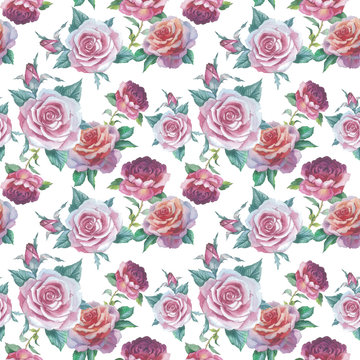 Wildflower rose flower pattern in a watercolor style isolated. Full name of the plant: rose, platyrhodon, rosa. Aquarelle flower could be used for background, texture, pattern, frame or border.