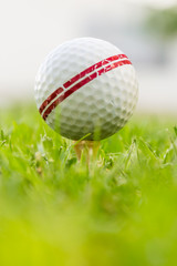 Galf ball vertical