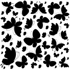 black butterflies,isolated on a white