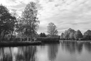 Autumn park with a lake - black and white