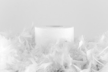 White toilet paper and feathers
