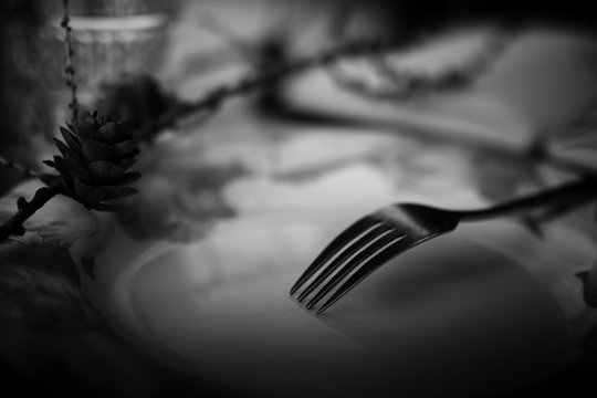 fork in plate black white