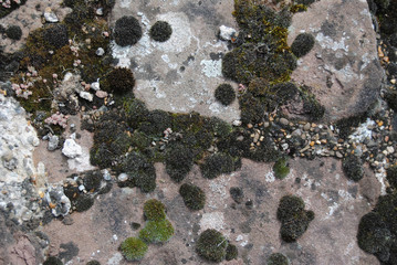 old castle brick wall stone texture 