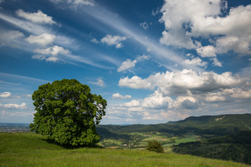 Schwäbisches Albvorland