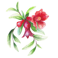 beautiful original blooming pomegranate brunch. watercolor art. pattern - 121841640