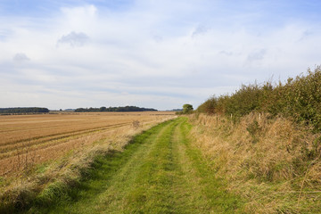 Fototapeta na wymiar harvested fields and bridleway