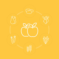 Harvest line icons on yellow, apples, carrot, potato, pear, corn, vector illustration