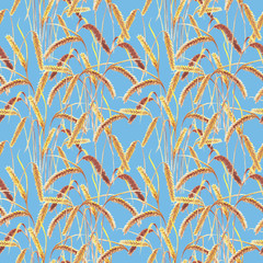 golden grain ears full of Sun's energy