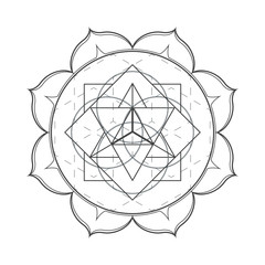 Fototapeta premium wine, drink, background, banner, vector, illustration, restauran