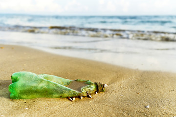 Waste destruction of nature : Beach concept