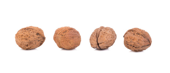 walnut isolated on the white background