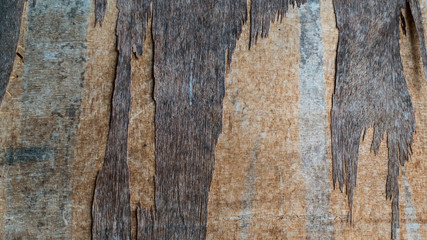 Wood Background or texture