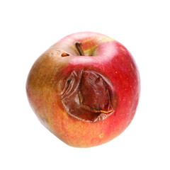 Rotten red apple isolated on white background, clipping path