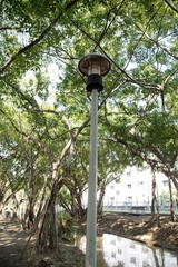 lamp in the park