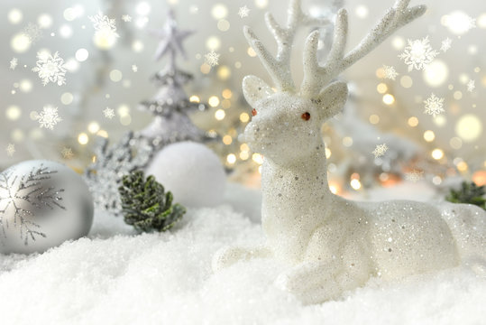 Weißer Hirsch im Schnee  -  Weihnachtselch