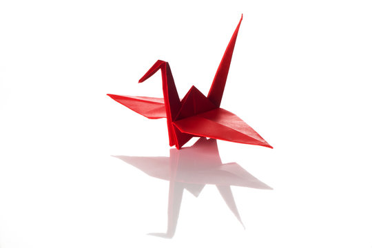 Origami art, colored crane isolated over a white background