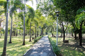 Landscaping in the garden. The path in the garden.
