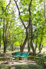 
Pathway and  Bench in a Beautiful Leafy Landscape Garden


