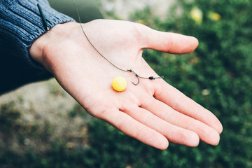 Man hands holding fishing baits. Natural bait. The bait for carp, catfish. Fisher puts bait on the hook.