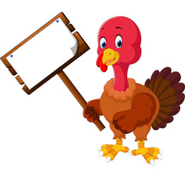 turkey bird cartoon