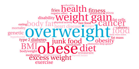 Overweight Word Cloud