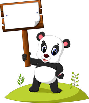 Cartoon panda presenting


