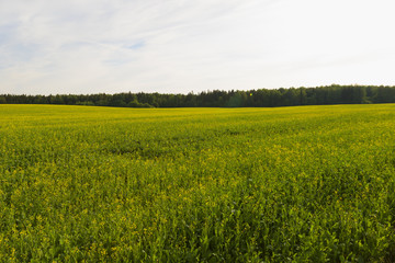 Obraz premium View of farmland.