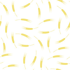 Yellow Ears of Wheat Seamless Pattern on White. Baking Background.