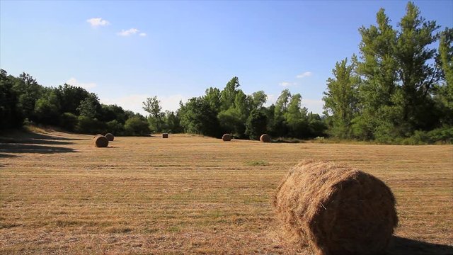 Campo o prado en verano ,  rodeado de arboles , con la hierba seca recientemente segada y recogida en pacas o balas
