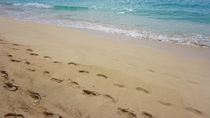 exotic beach
