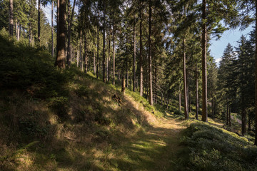 Thüringer Wald