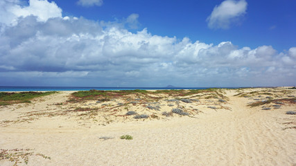 Fototapeta na wymiar beach of santa maria