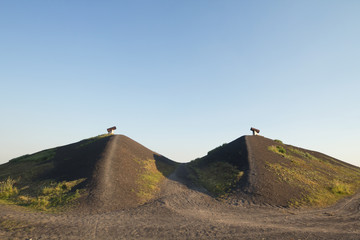 Halde Rungenberg